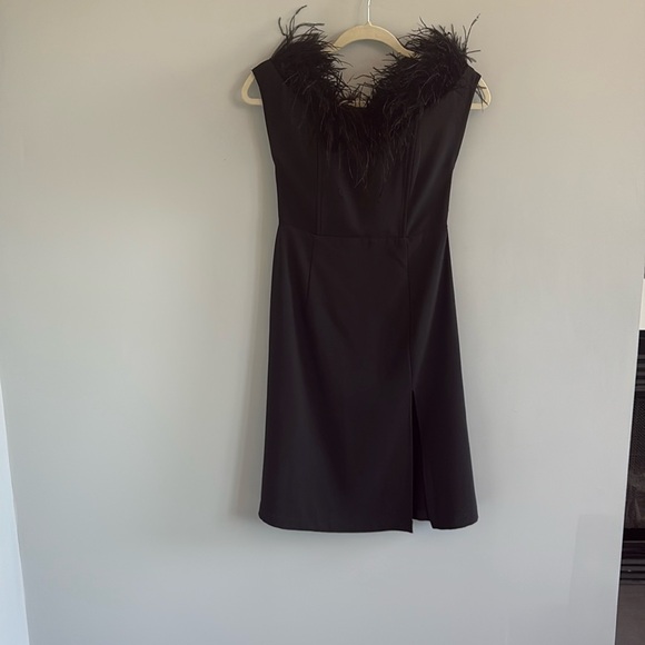 LPA Dresses & Skirts - LPA‎ Feather Trim Mini Dress